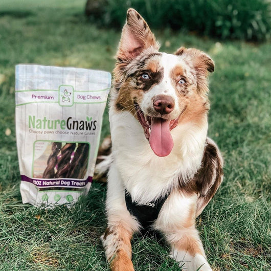Braided Bully Sticks 11-12" (5 Pack)