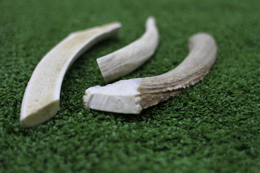Deer Antlers 4-5" (3 Pack)