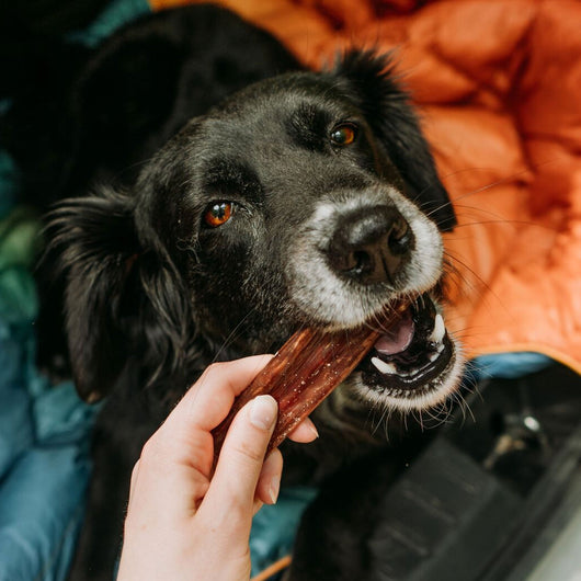 Jerky Chews 4-5" (20 Pack)
