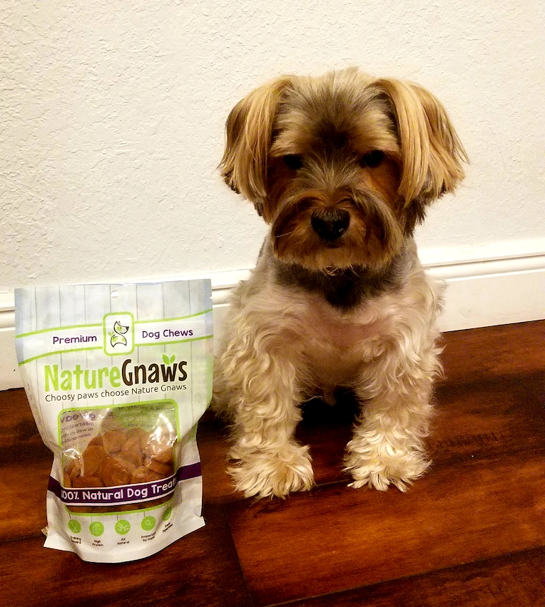 Best Chews and Treats for Senior Dogs