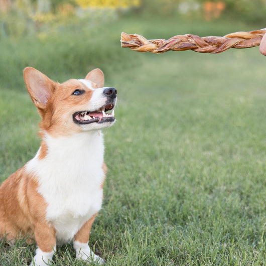 Braided Bully Sticks 11-12" (5 Pack)