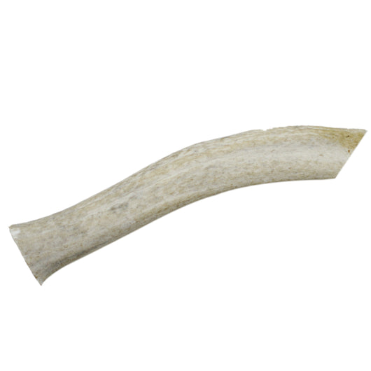 Monster Elk Antler 9-10" (1 Pack)