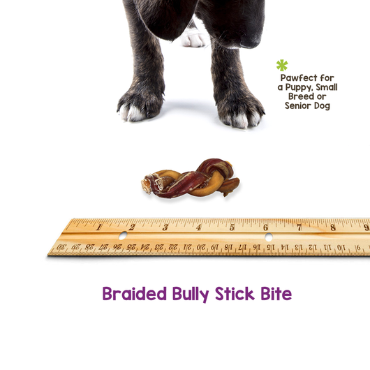 Braided Bully Bites 2-4" (15 Pack)