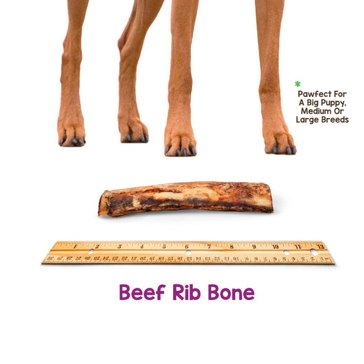 Beef Rib Bones (6 Pack)