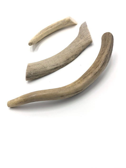 Deer Antlers 4-5" (3 Pack)